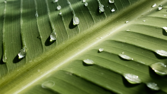 Célébrez la Journée de la Terre tous les jours avec Bouclème