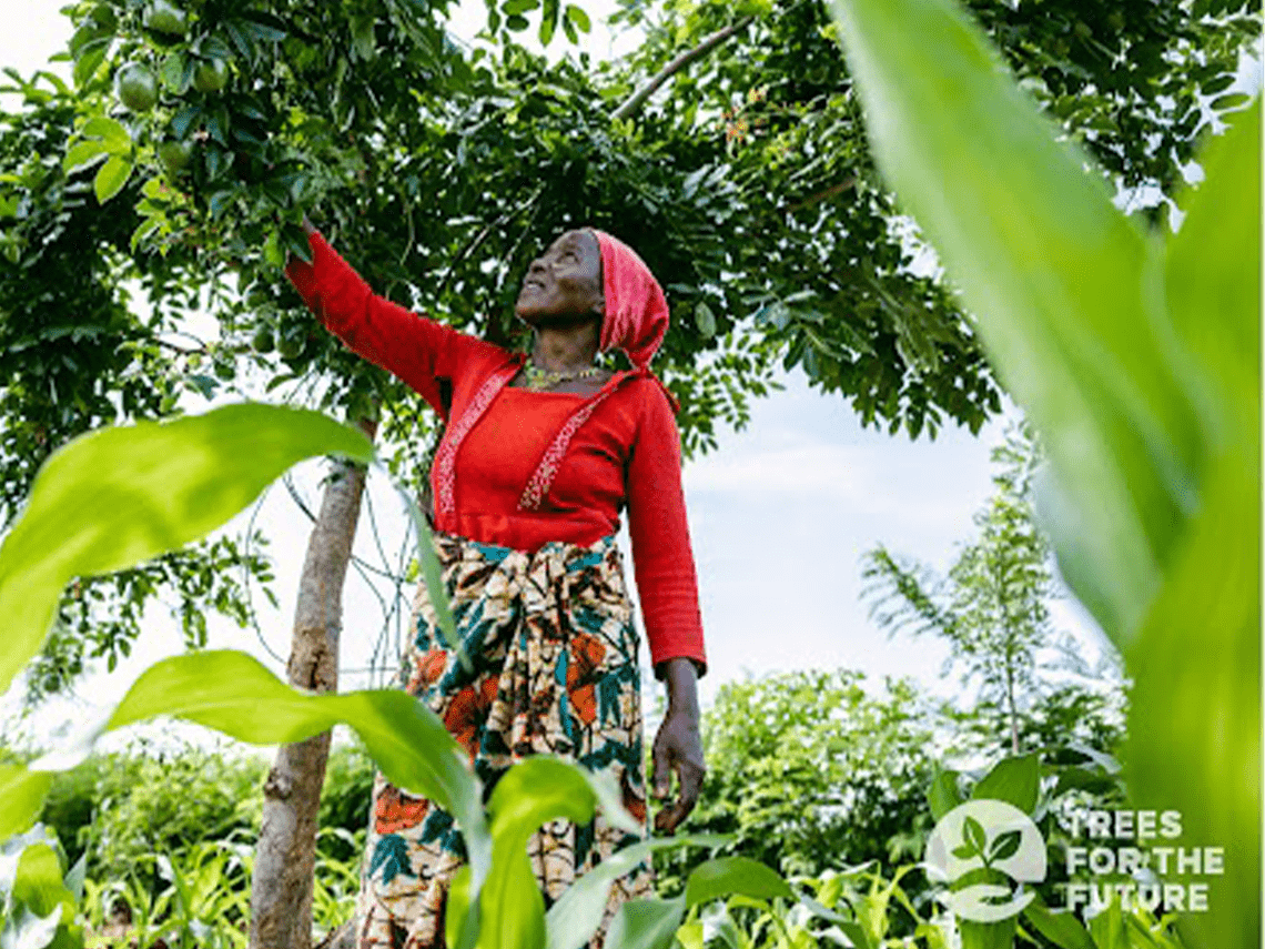 femme vêtue de couleurs vives, debout à côté d'un arbre planté, la main tendue vers le feuillage